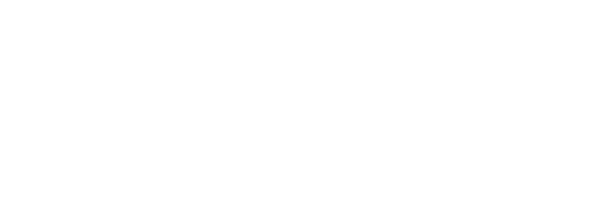 Logo Pleon